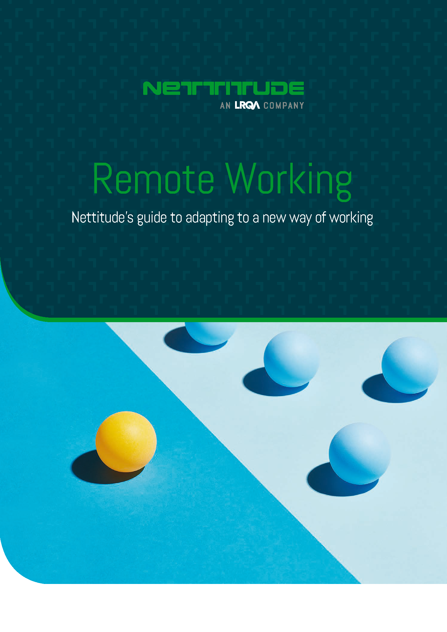 Pages from Remote Working Nettitudes Guide to Adapting